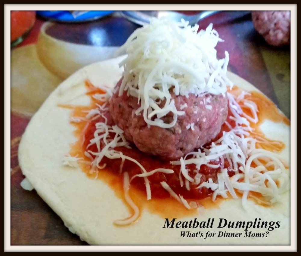 Meatball Dumplings (2)