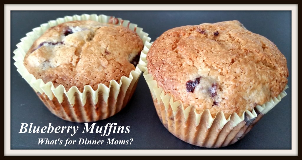 blueberry-muffins